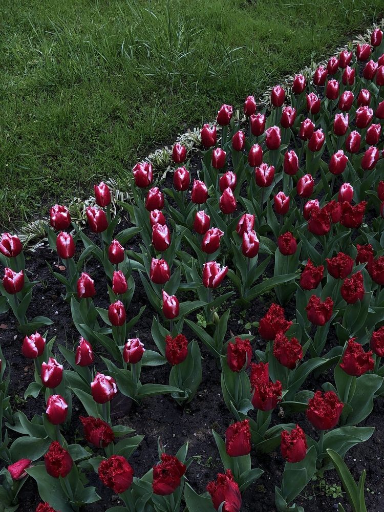 Photograph by Дарья