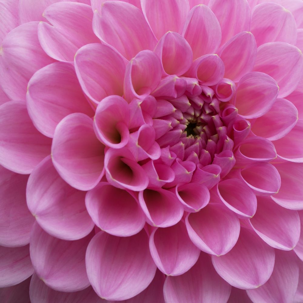 Photograph by Ирина Серегина