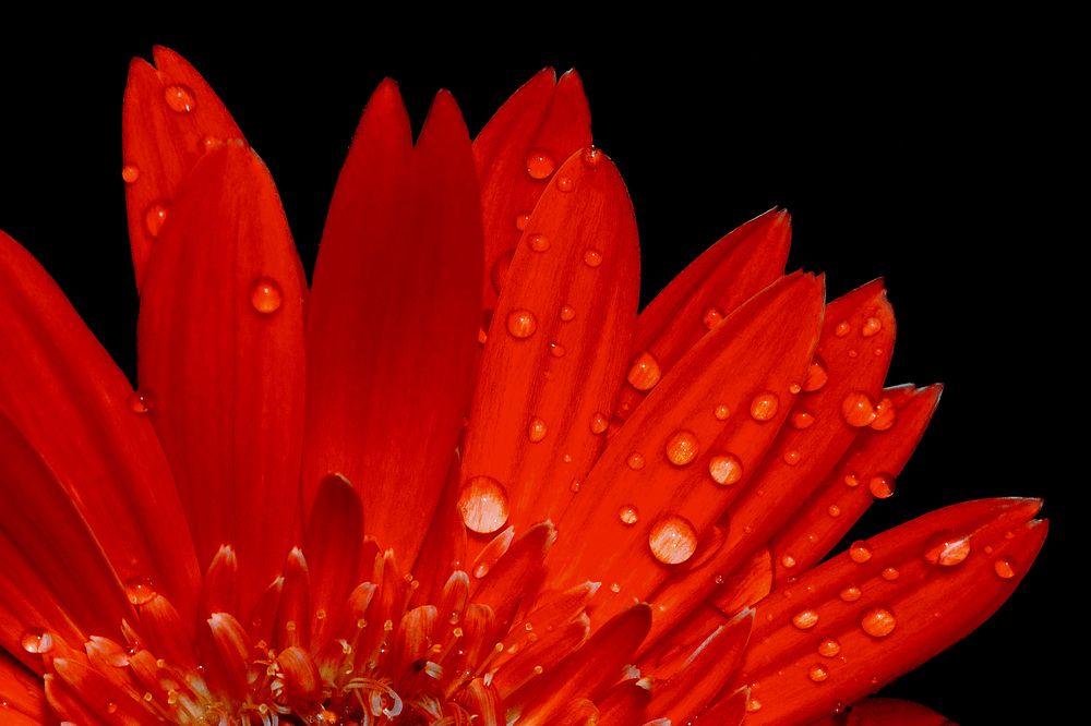 Photograph by Andre Miranda