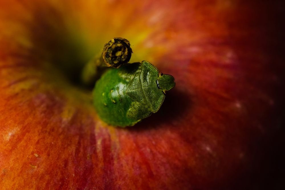 Photograph by Александр Тарасов