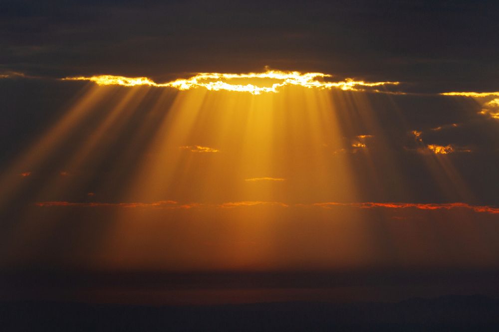 Photograph by Andre Miranda