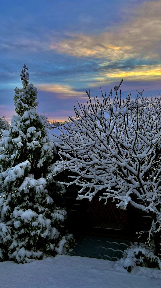 Photograph by Райхерт Вероника