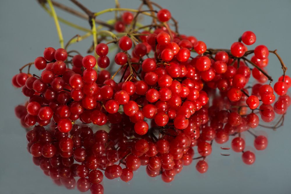 Photograph by Римма Волченко