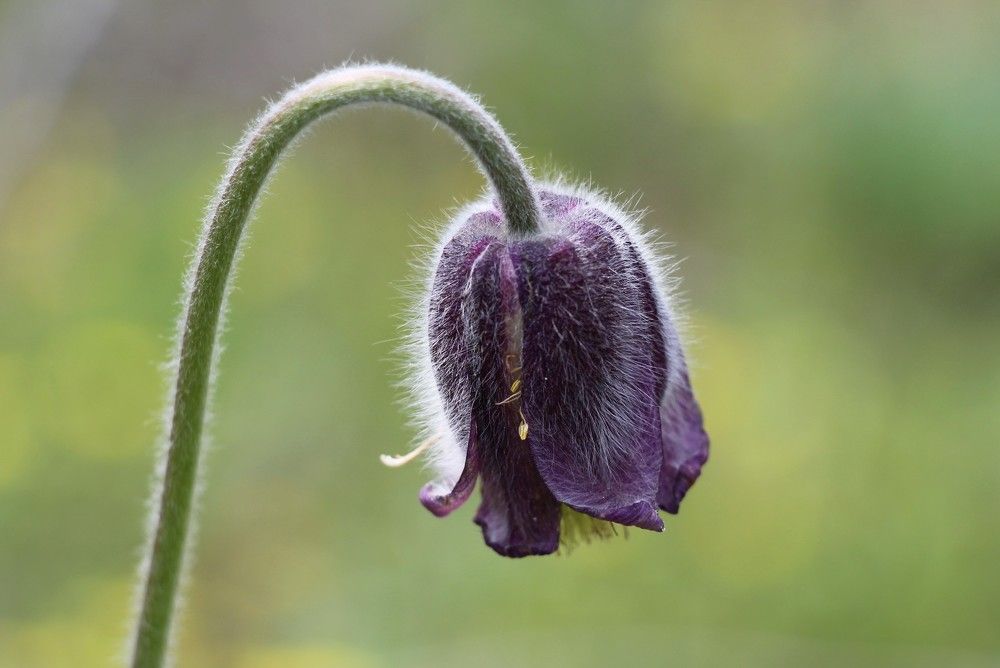 Photograph by Ольга Попченко