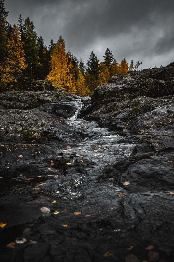 Photograph by Александр Державин