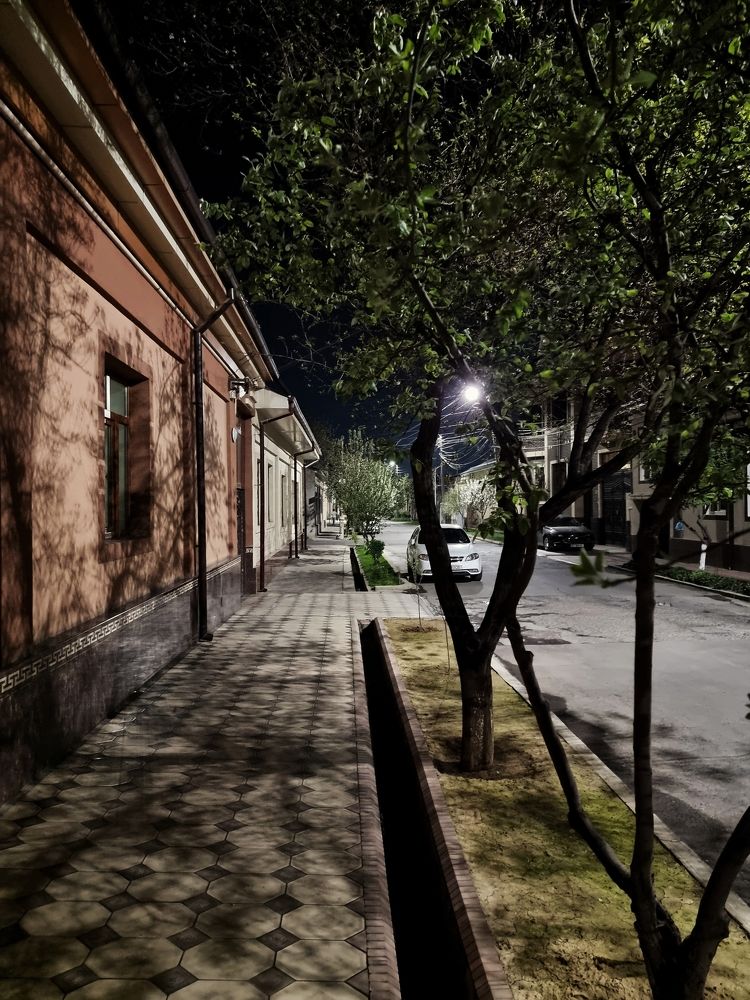 Photograph by Асад Ибадов