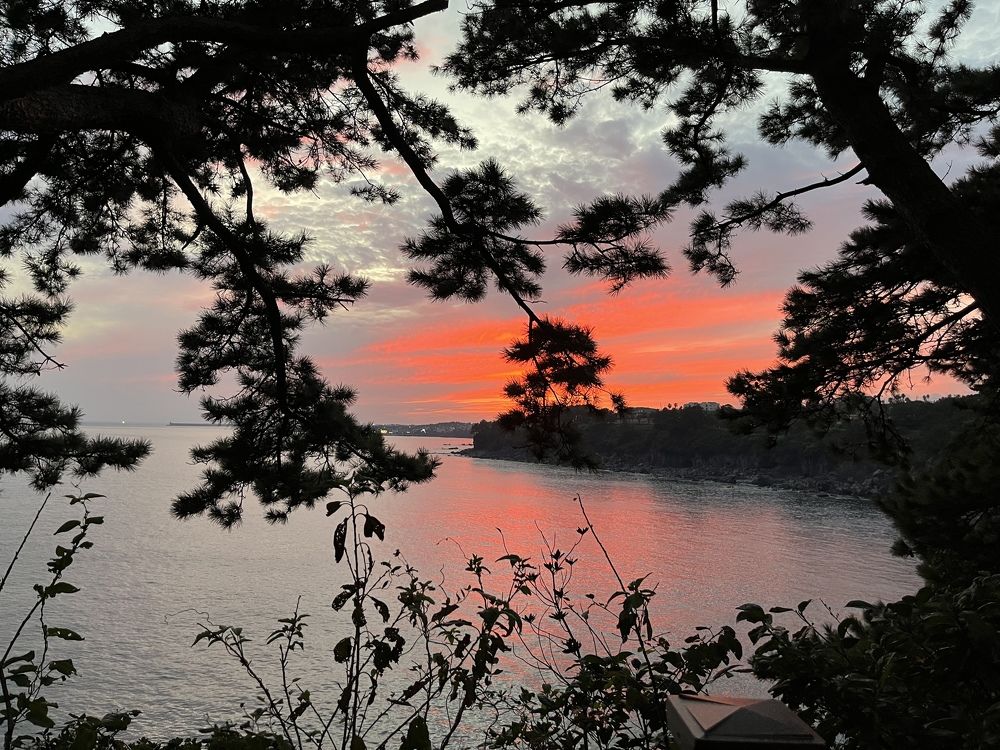 Фотография автора SHREYA SHUKLA