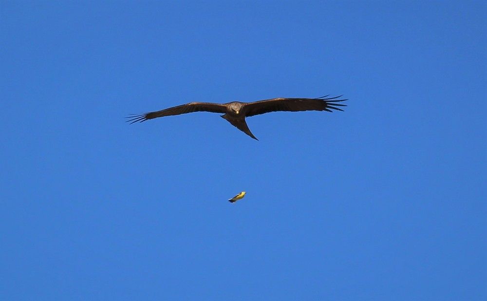 Photograph by Ольга Попченко