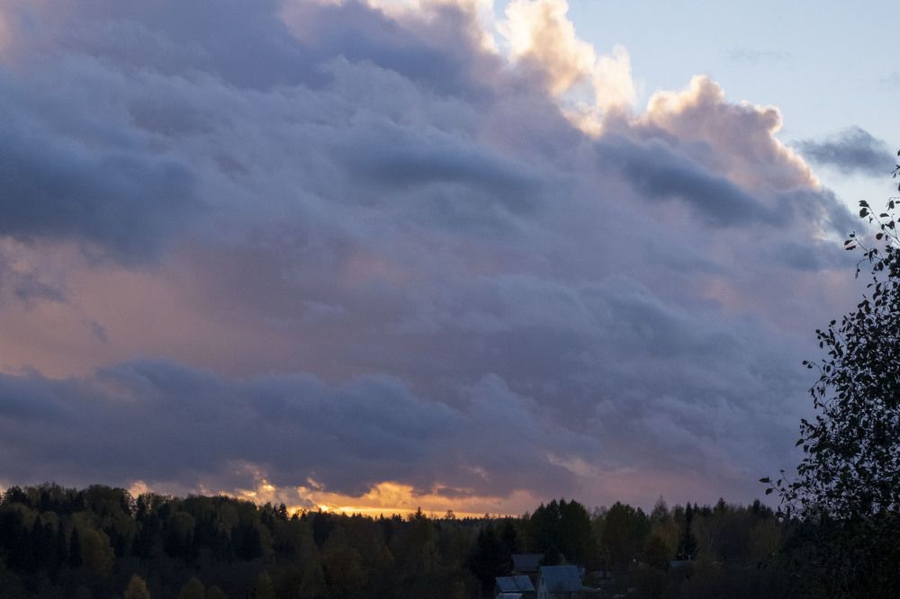 Фотография автора Наталья Липовская