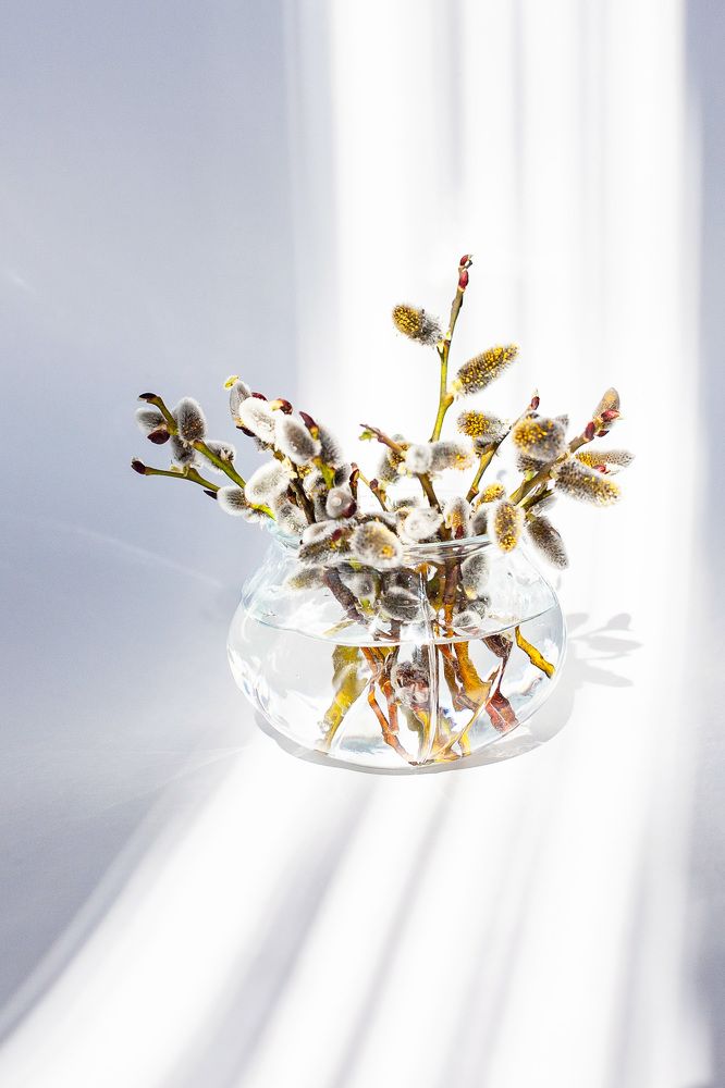 Фотография автора Альбина Кадочникова