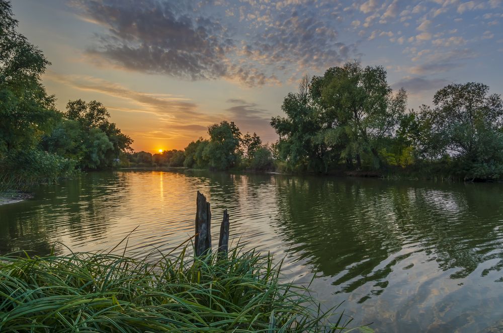 Photograph by Александр Кодак