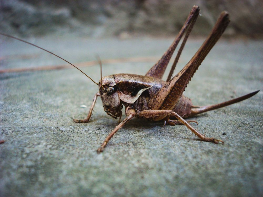 Photograph by Дмитрий Цикин