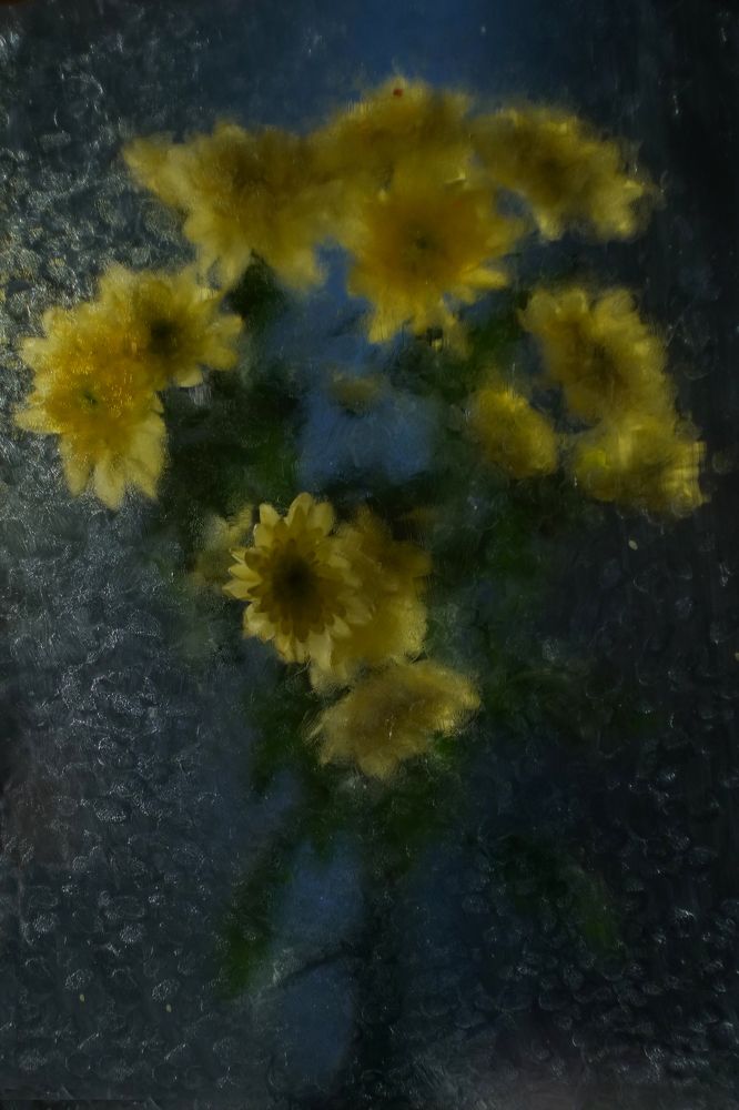 Букет ночных цветов