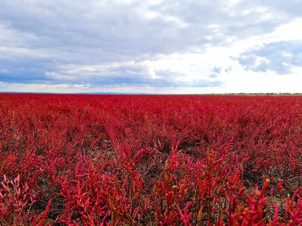Photograph by Алексей Миронов