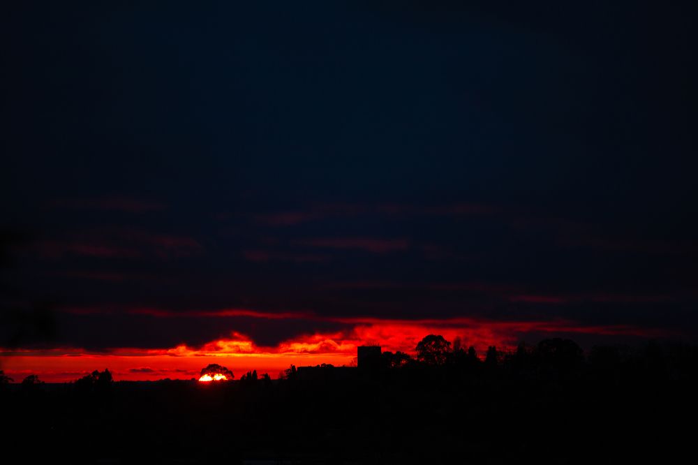 Фотография автора Naala Avidzba