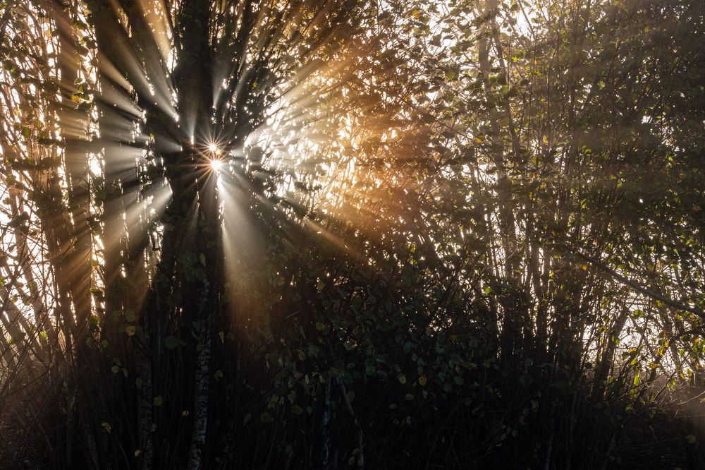 Photograph by José Antonio Gómez Mateo