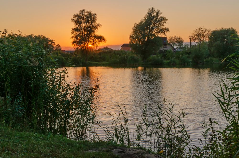 Photograph by Александр Кодак