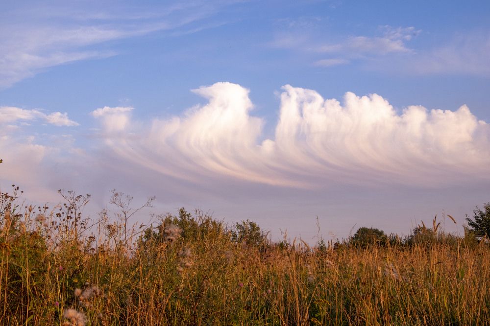 Фотография автора Наталья Липовская