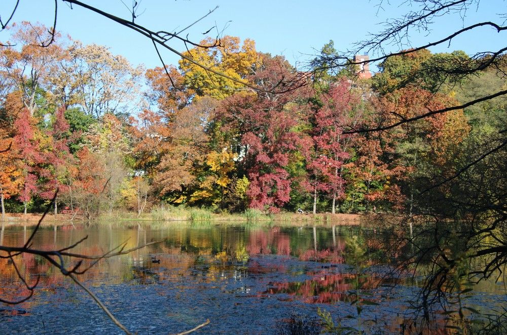 Photograph by Leo Tujak