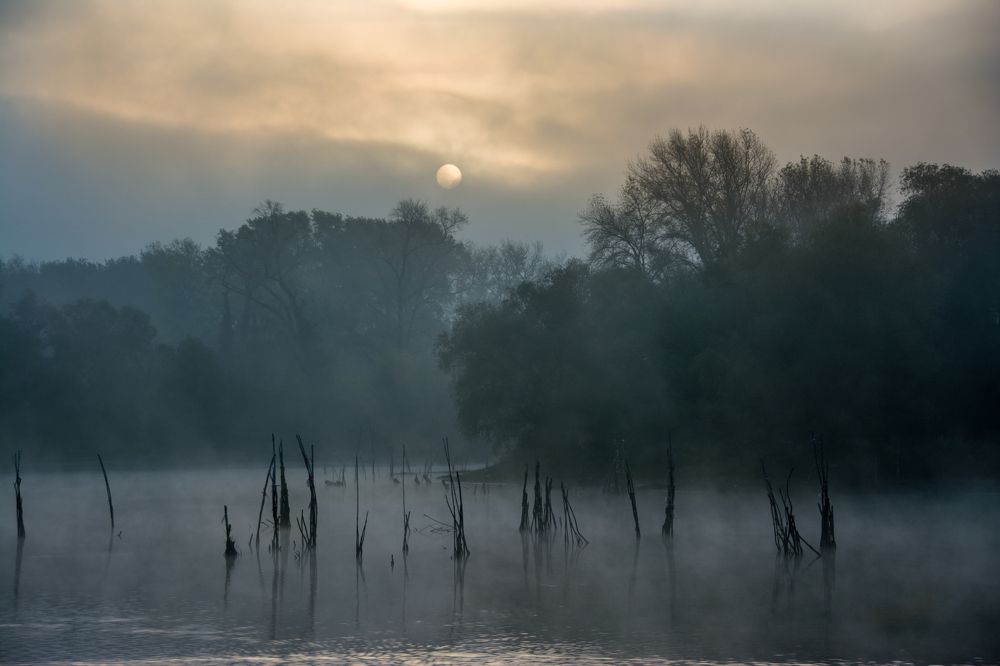 Photograph by Maja Tomić