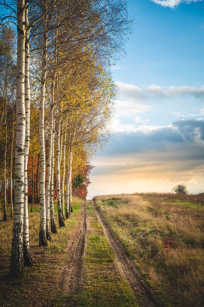 Photograph by Krzysztof