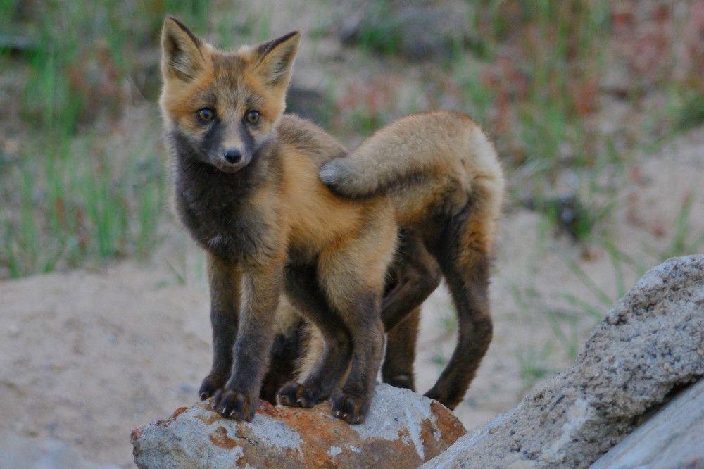 Photograph by Алексей Ильин