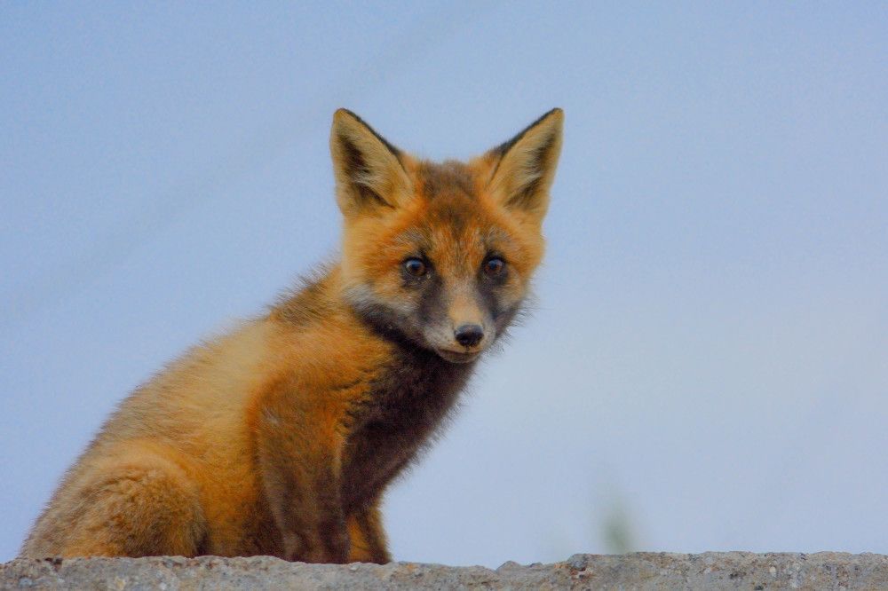 Photograph by Алексей Ильин