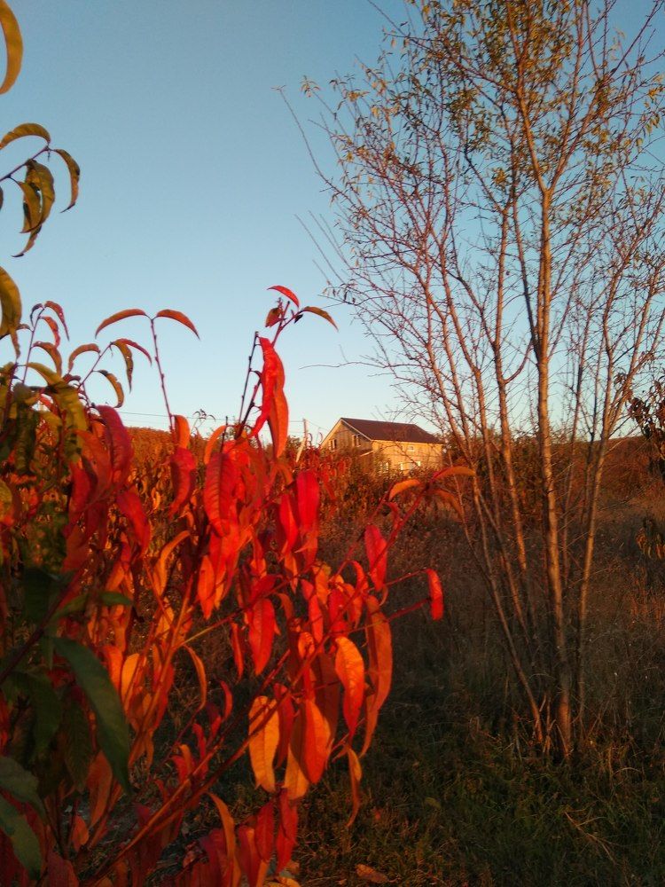 Photograph by Татьяна Ситникова