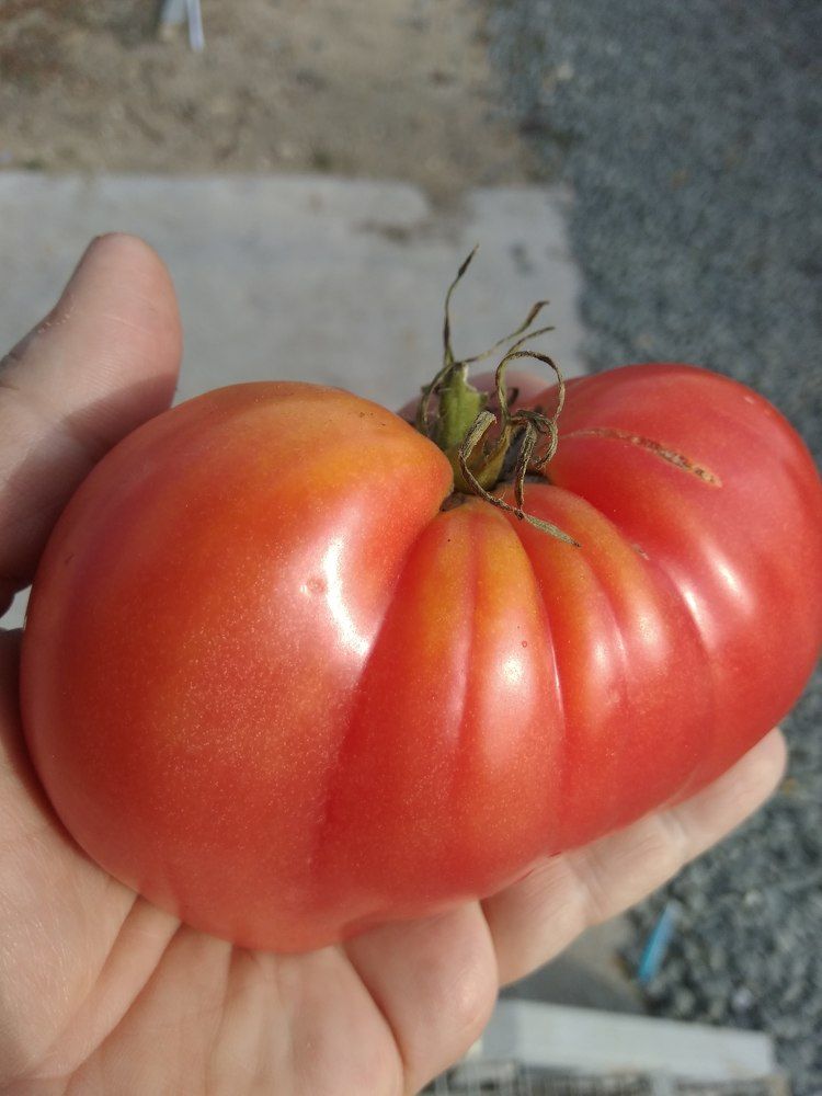 Photograph by Татьяна Ситникова