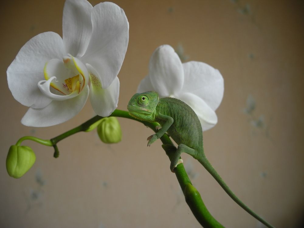 Photograph by Андрей Головин