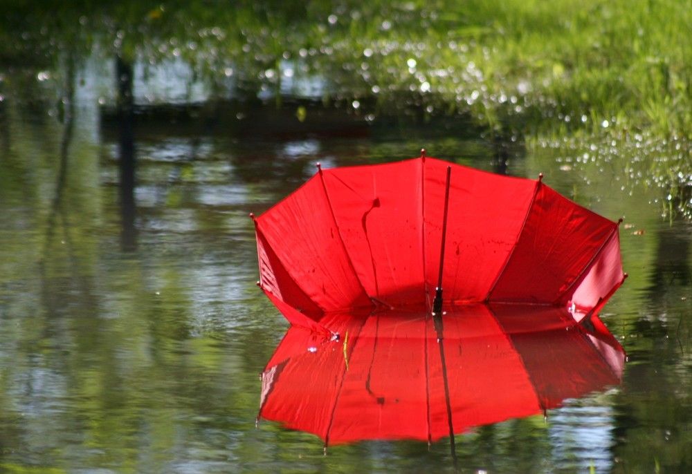 Photograph by Сергей Зятиков