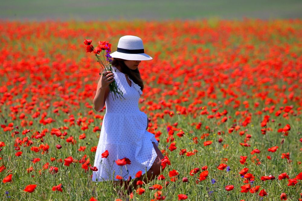 Photograph by Александр Глебов