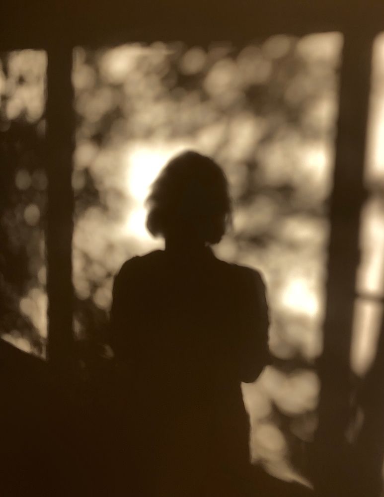 Тень автопортрета с тенями деревьев