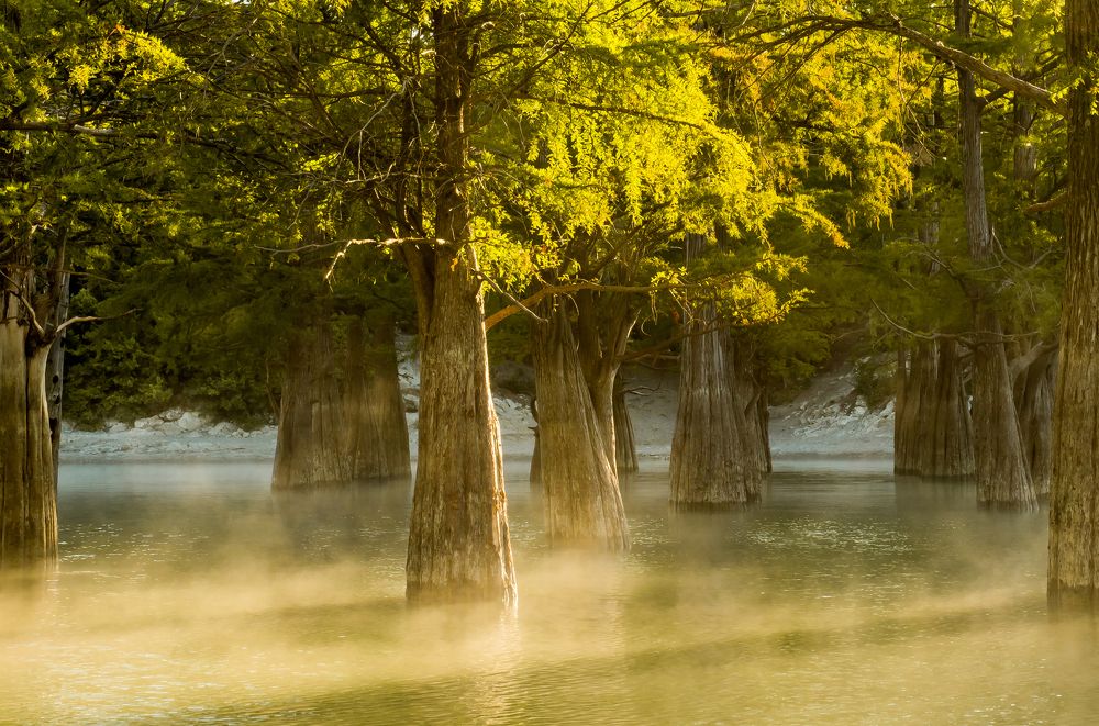 Утро туманное