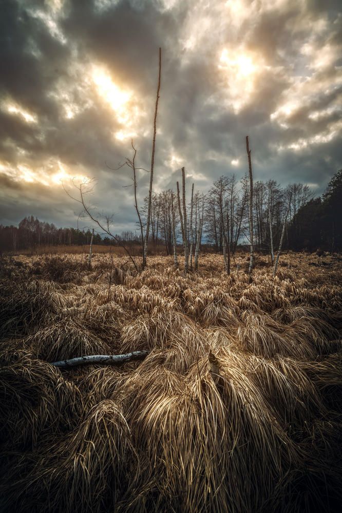 Photograph by Krzysztof