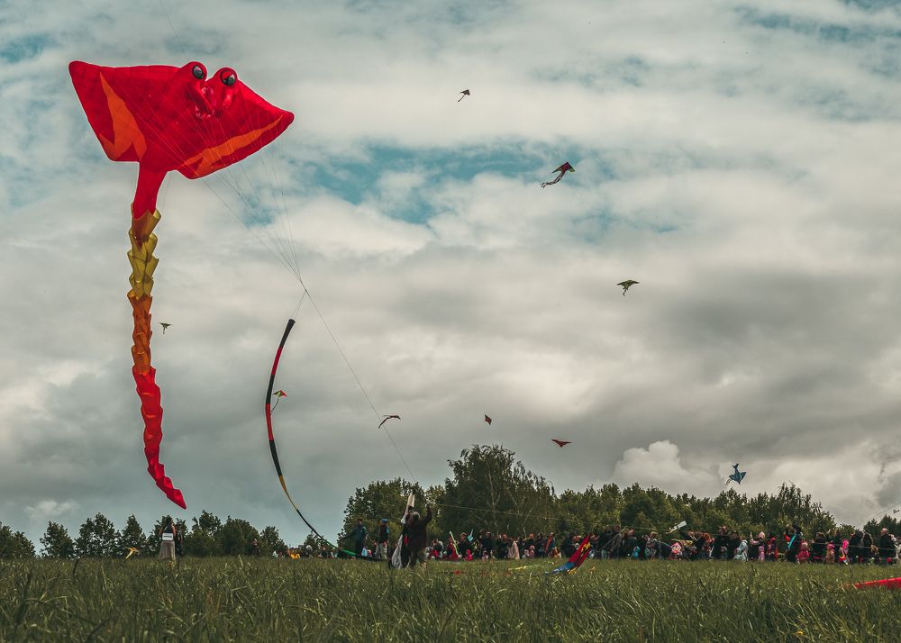 Photograph by Natalia Novikova