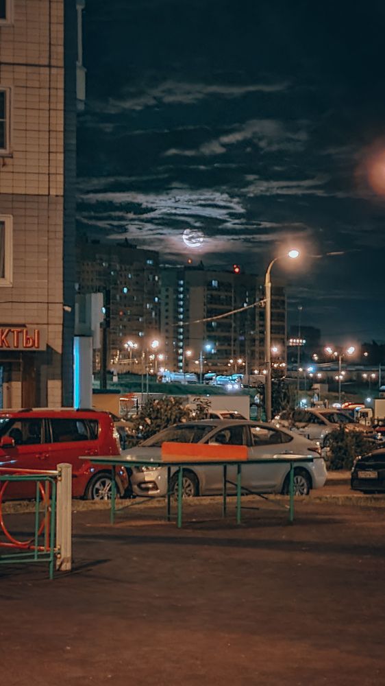 Photograph by Пилясова Анастасия