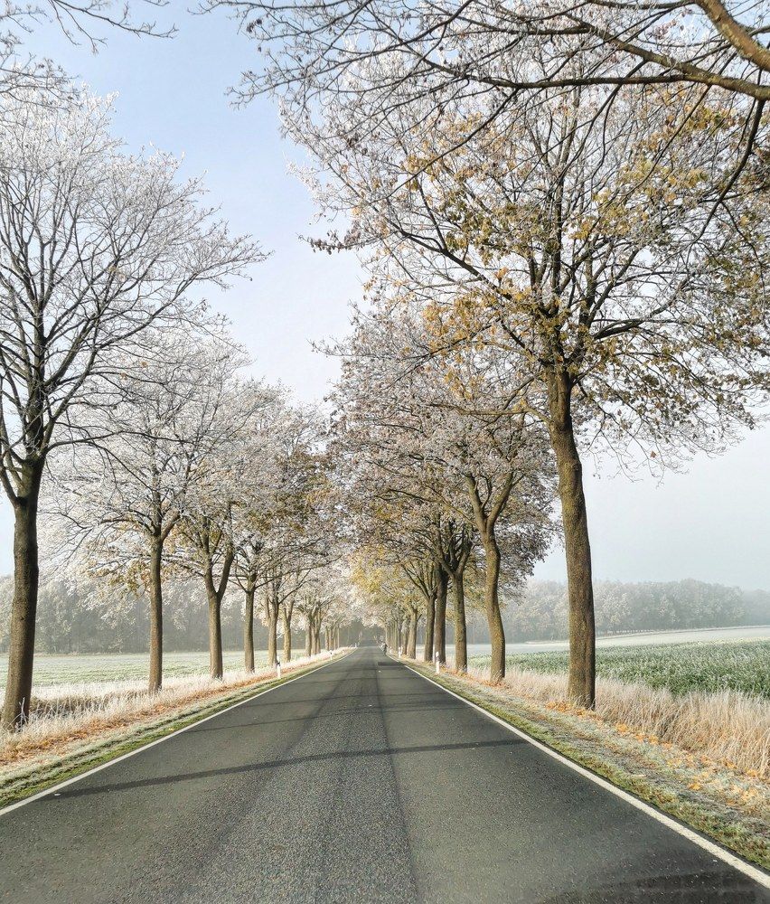 Photograph by Михаил Жарский