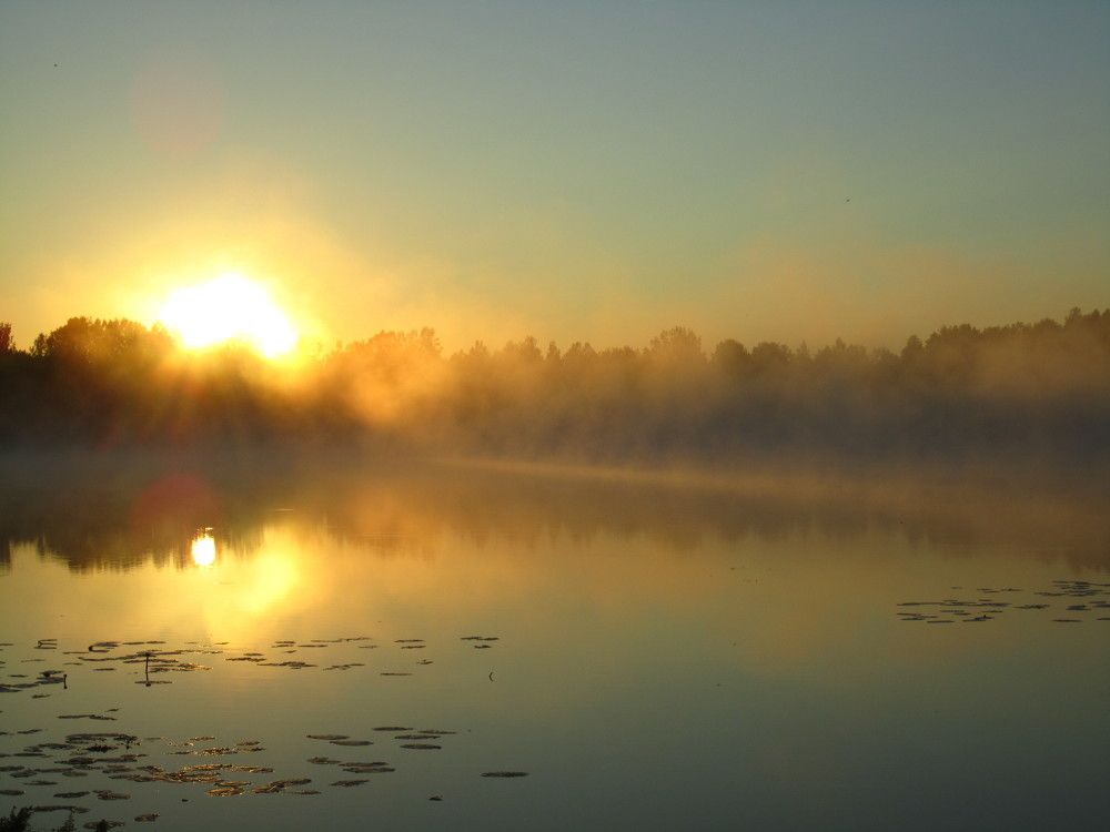 Photograph by Наталья Дубовкина