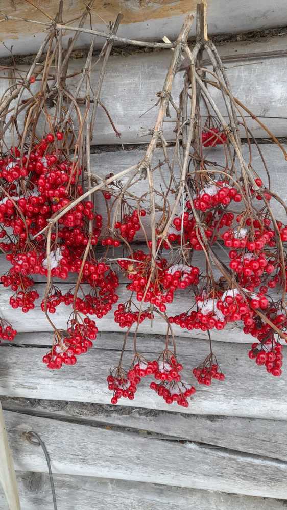 Photograph by Golikova Natalia