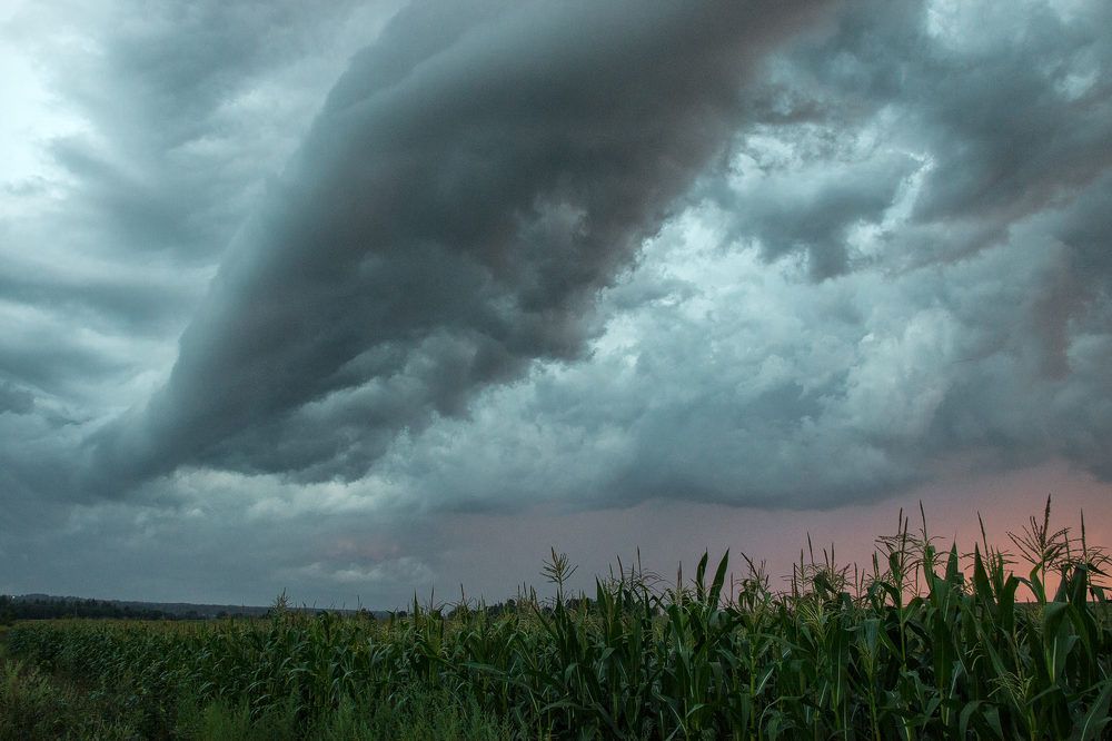 Photograph by  Александр