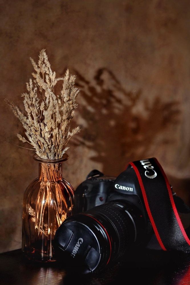 Photograph by 