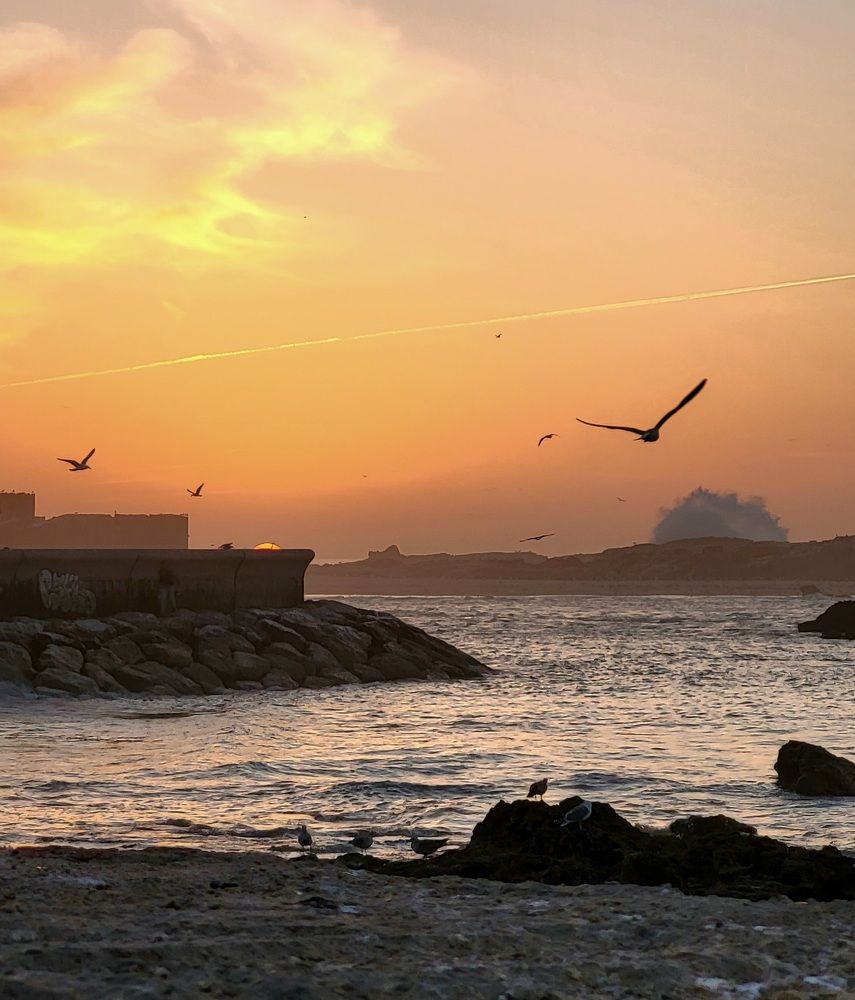 Photograph by Елена Блинова