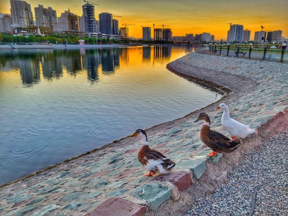 Фотография автора Zahra Seyedmorti