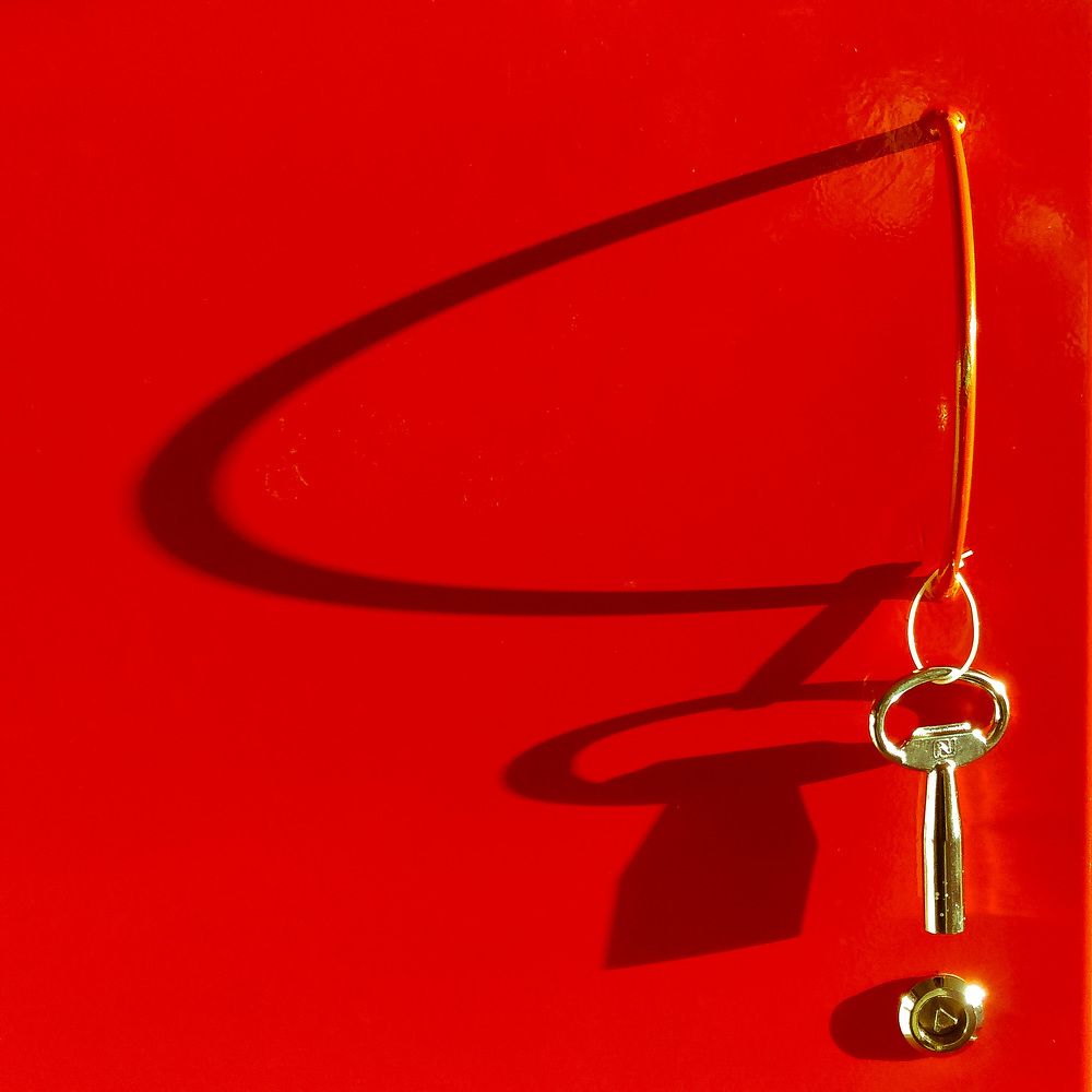 Photo #8388694