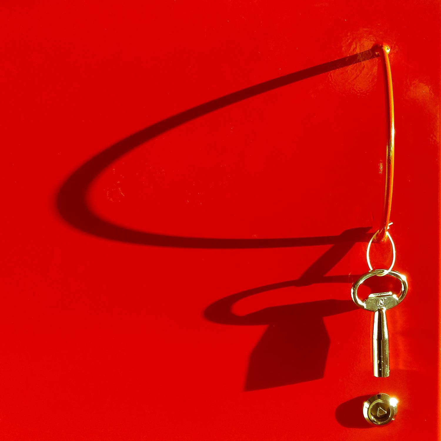 Photo #8388694