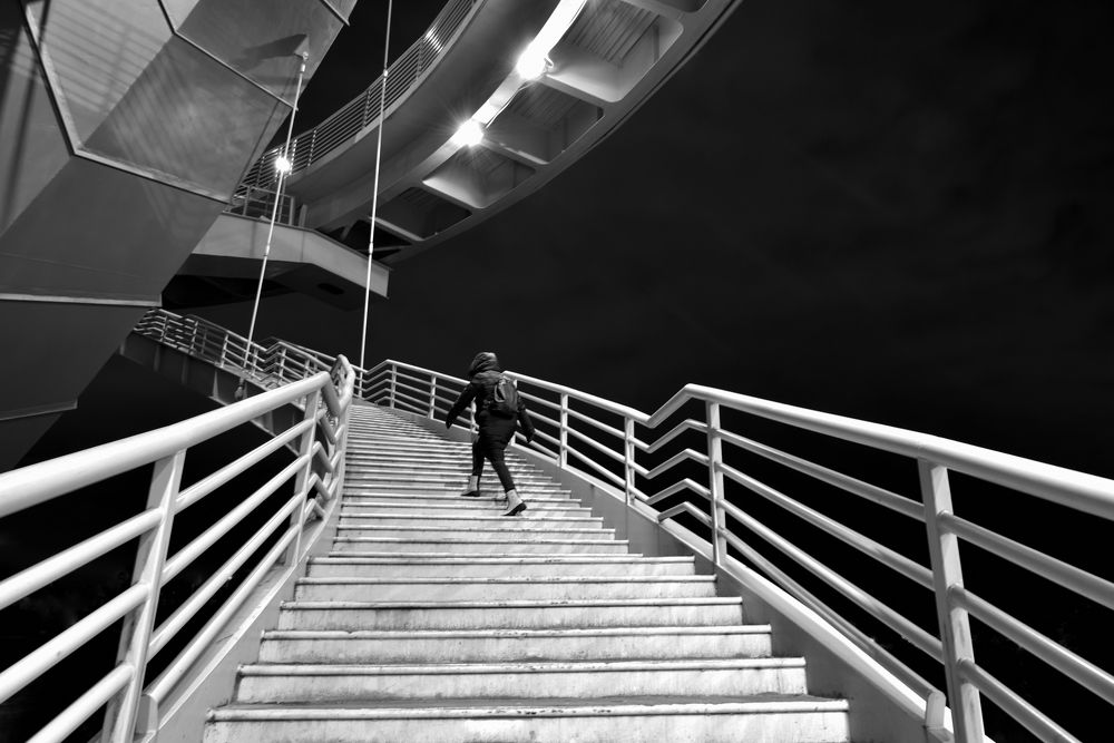 Девятые врата