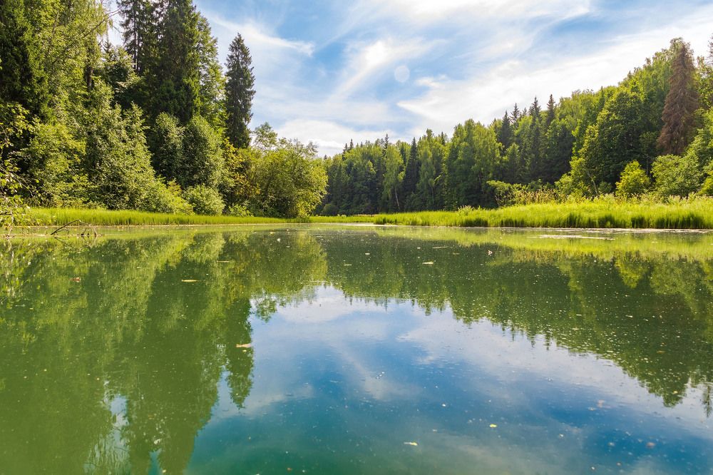 Photograph by Алексей Чеботарев