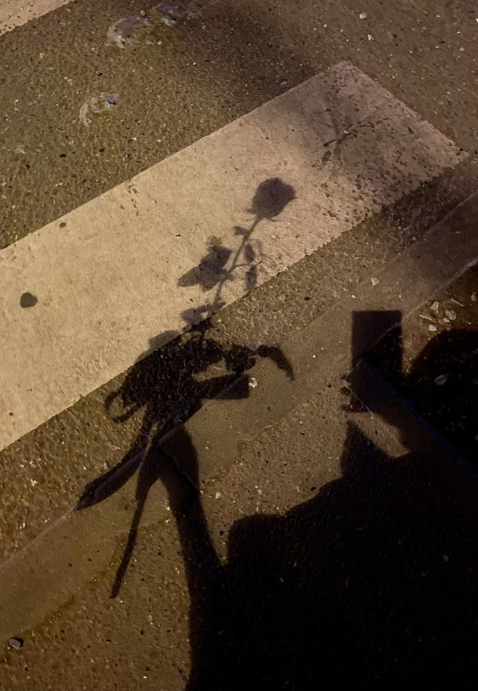 Photograph by Мая Боц