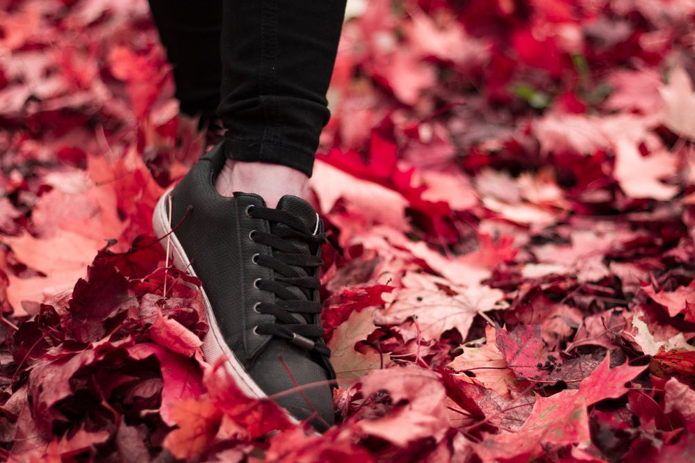 Photograph by Radoslav Bonev